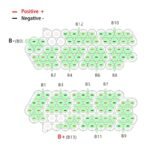 Aurora Nickel strip 48V