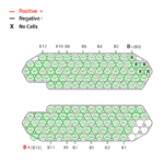 Polly DP6 48V 13S5P Nickel strip wiring guide